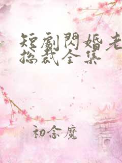 短剧闪婚老公是总裁全集