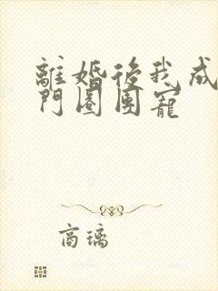 离婚后我成了豪门圈团宠