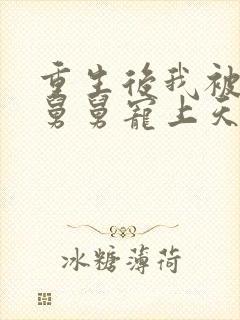 重生后我被渣男舅舅宠上天