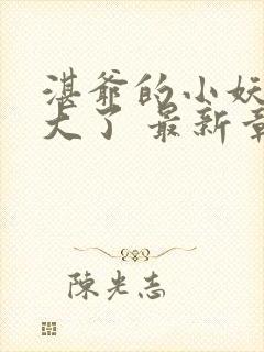 湛爷的小妖精长大了 最新章节