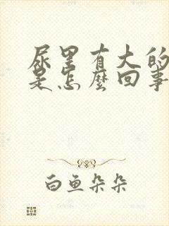 尿里有大的泡泡是怎么回事