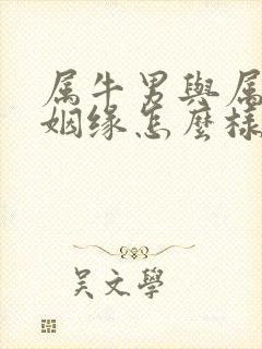 属牛男与属猴女姻缘怎么样