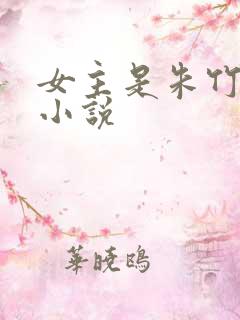 女主是朱竹清的小说