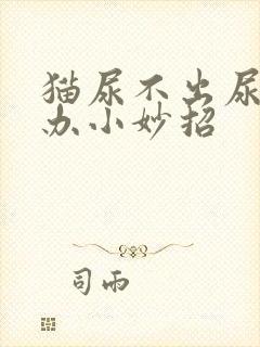 猫尿不出尿怎么办小妙招