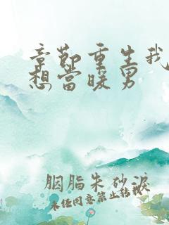 章节重生我真没想当暖男