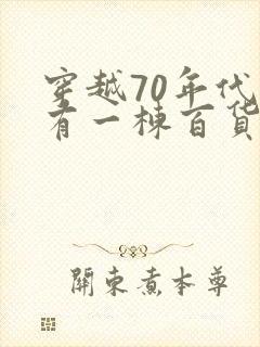 穿越70年代我有一栋百货大楼小说