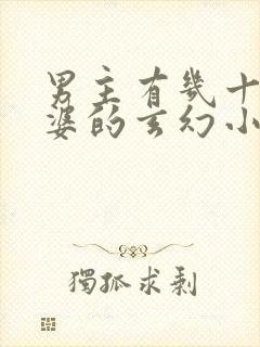 男主有几十个老婆的玄幻小说