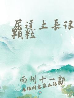 尿道上长很多小颗粒