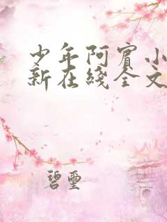 少年阿宾小说最新在线全文阅读