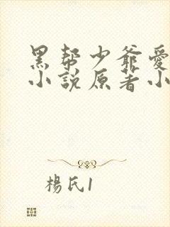 黑帮少爷爱上我小说原著小说