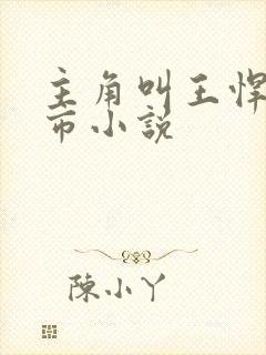 主角叫王悍的都市小说