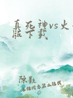 真死神vs火影版下载