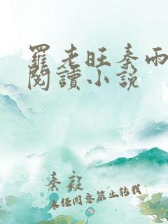 罗老旺秦雨免费阅读小说