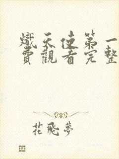 炽天使第一季免费观看完整版