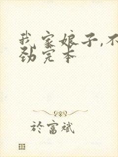 我家娘子,不对劲完本