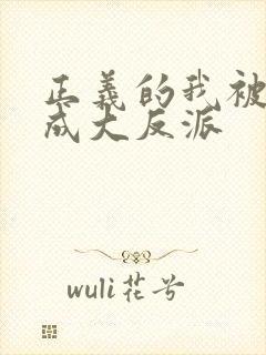 正义的我被系统成大反派