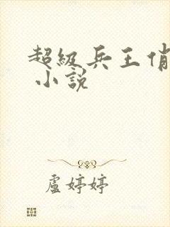 超级兵王俏总裁 小说