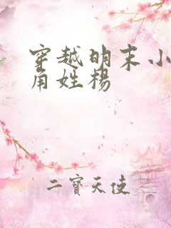 穿越明末小说主角姓杨