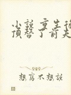 小说 重生后我顶替了前夫白月光