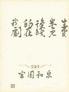 我的后半生电视剧在线免费观看