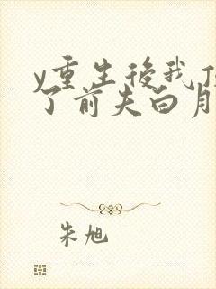 y重生后我顶替了前夫白月光