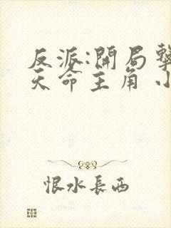 反派:开局击杀天命主角 小说