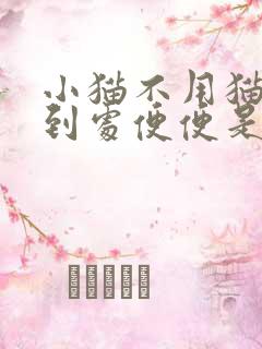 小猫不用猫砂盆到处便便是为什么