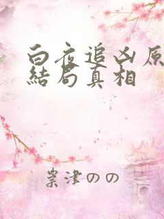 白夜追凶原著大结局真相