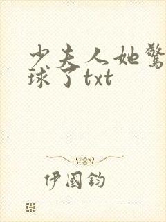 少夫人她惊艳全球了txt