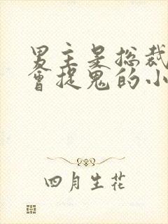 男主是总裁女主会捉鬼的小说