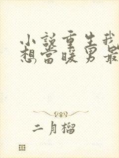 小说重生我真没想当暖男最新章节