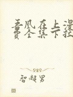 吾凰在上漫画免费全集下拉式漫画