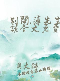 别闹,薄先生小说全文免费阅读未删减