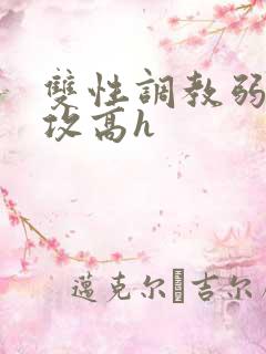 双性调教弱攻虐攻高h