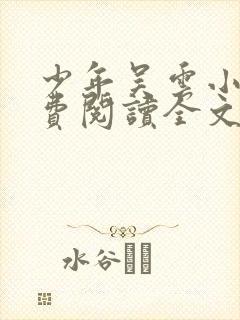 少年吴云小说免费阅读全文