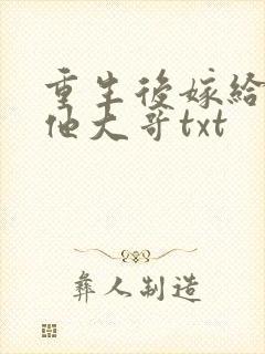 重生后嫁给亡夫他大哥txt