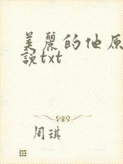 美丽的他原著小说txt