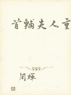 首辅夫人重生后