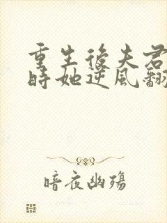 重生后夫君大婚时她逆风翻盘