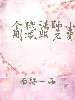 全职法师小说无删减版免费阅读