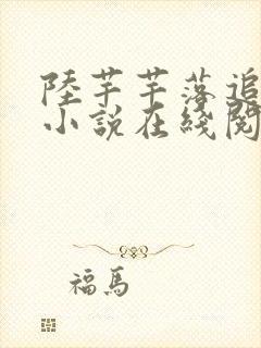 陆芊芊落追嘉措小说在线阅读