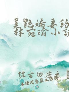 美艳娇妻的秘密 林宛瑜小说免费阅读