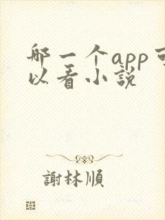 哪一个app可以看小说