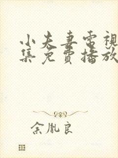 小夫妻电视剧全集免费播放高清