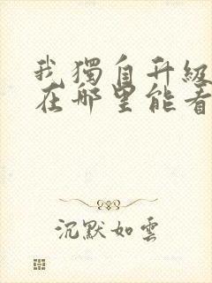 我独自升级动漫在哪里能看