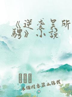 《逆袭吴所畏池骋》小说