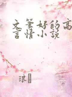 文笔好的高质量言情小说