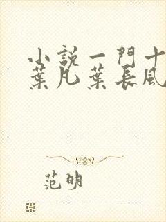 小说一门十忠烈叶凡叶长风全集