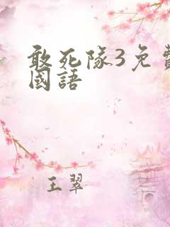 敢死队3免费版国语