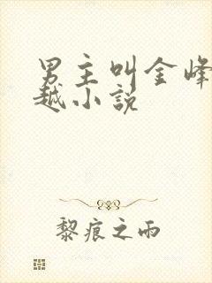 男主叫金峰的穿越小说
